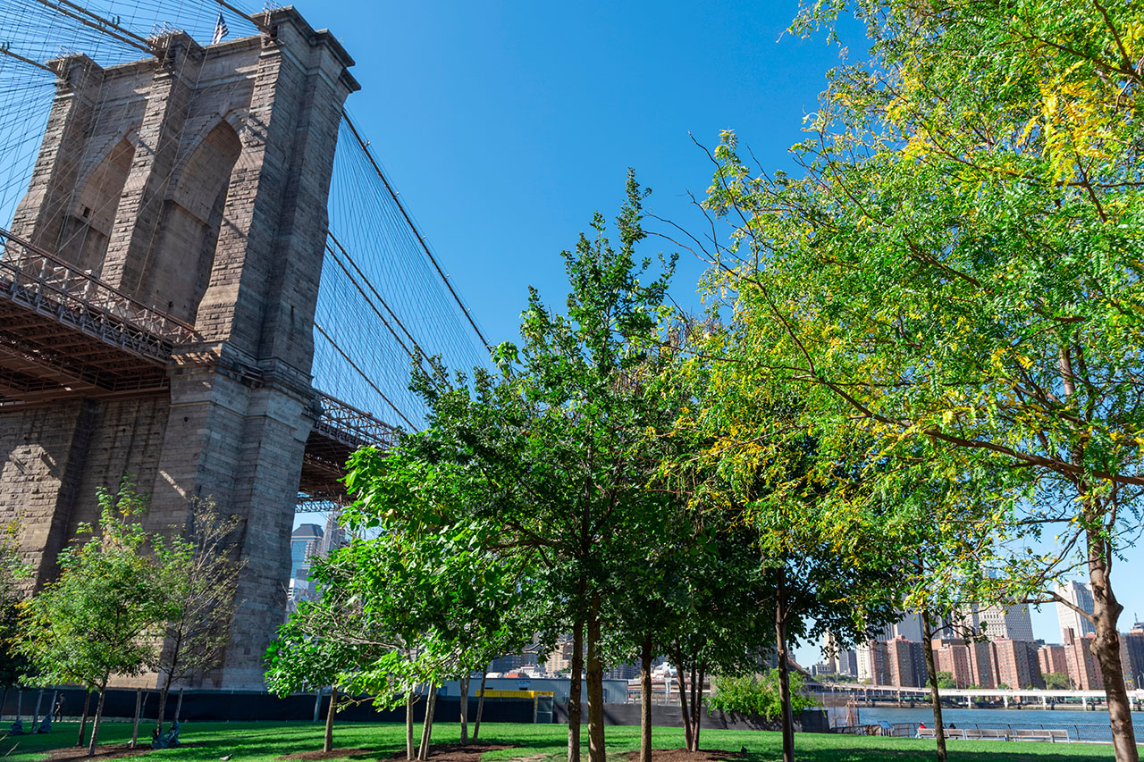 DUMBO: el cruce de arte, tecnología y vistas impresionantes