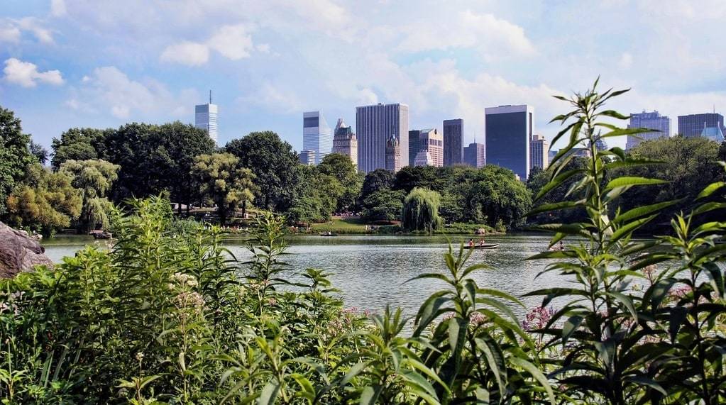 La magia de Central Park, un oasis en la ciudad