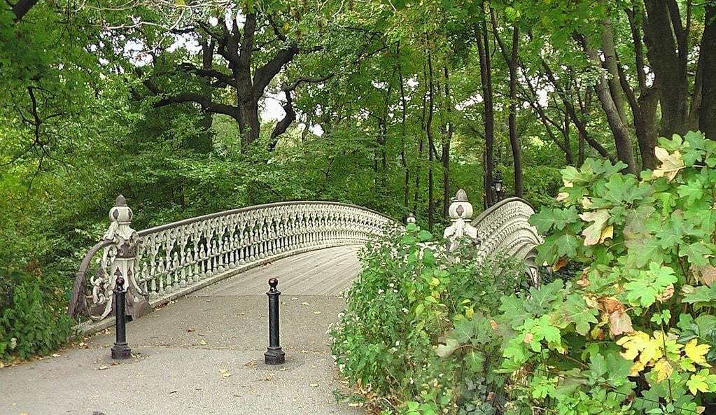 La magia de Central Park, un oasis en la ciudad